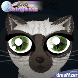 Shinycatz: juego gratuito en Internet, ocuparse deun gato